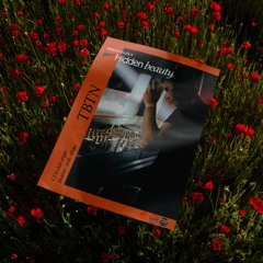 TBTN - Hidden Beauty