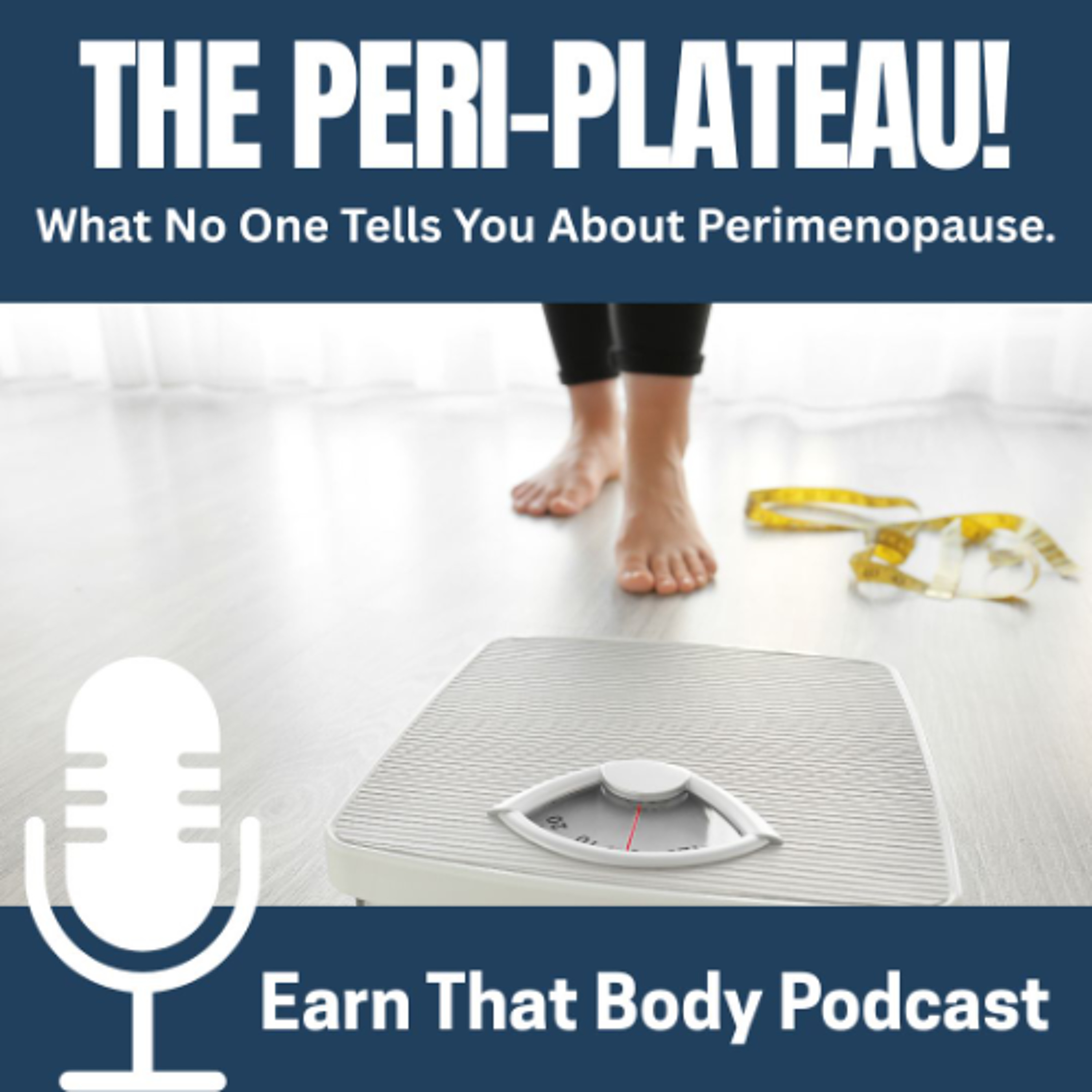 409 The Perimenopause Plateau! What No One Tells You..
