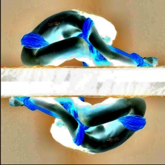 01 - 31 - 23 : Meitei - Nami {Last Day, First Day: let It Go}