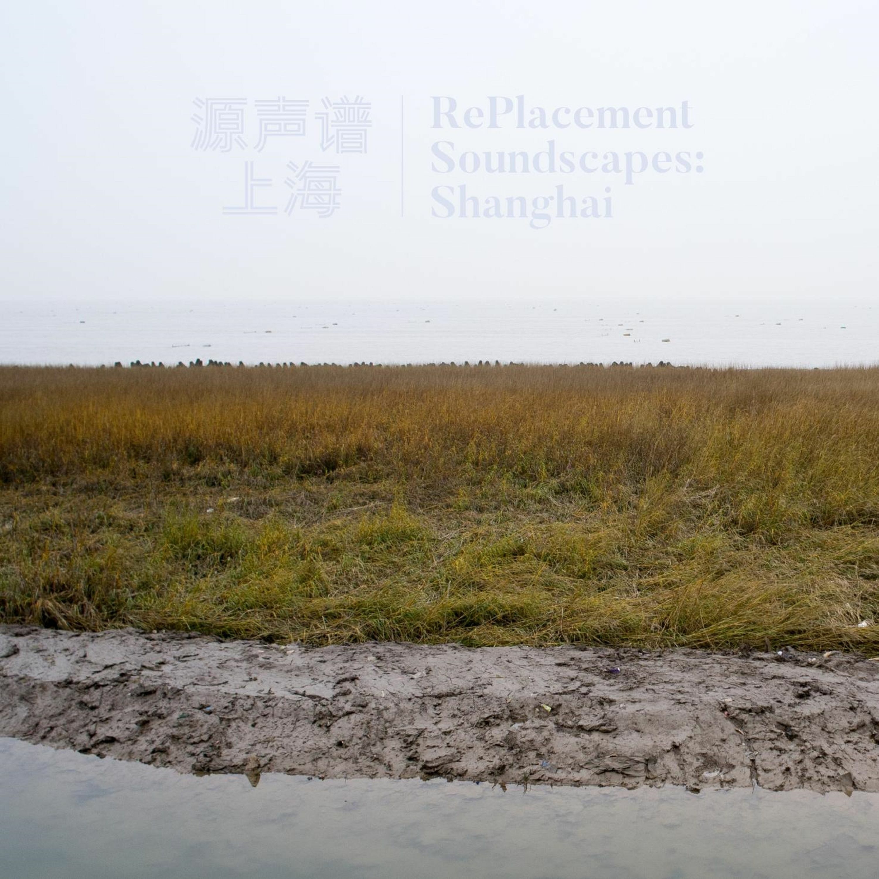cover of episode Daily Replacement Soundscape 23.04.11