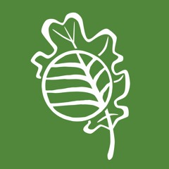 Beaty Museum - Herbarium