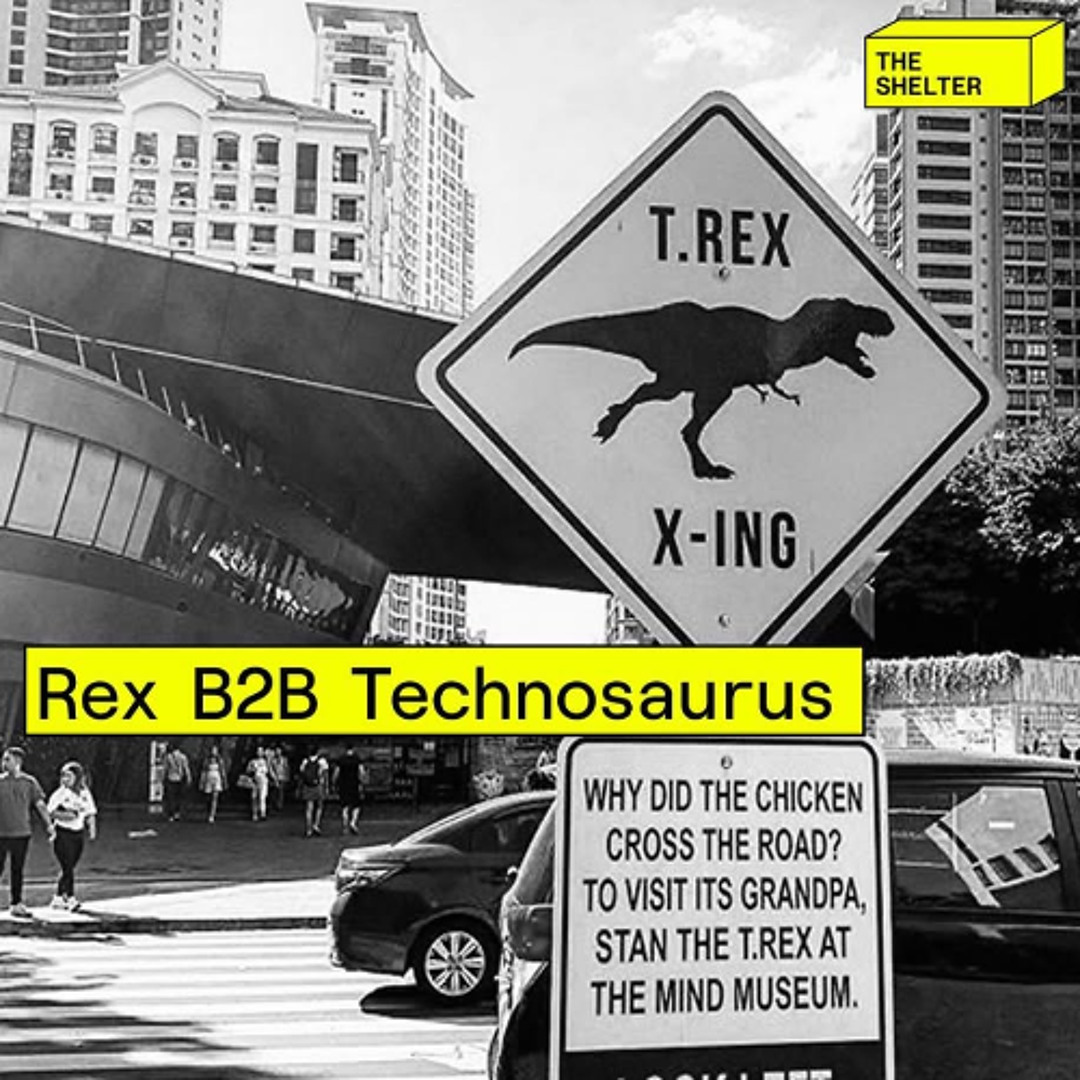 Stream The Shelter Mixtape 025 with Rex and Technosaurus