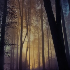 Sinai Of Secularism - Restoration Mix