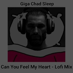 Can You Feel My Heart - Lofi Mix