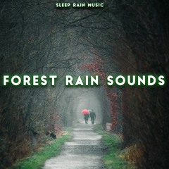 Books, Coffee and a Rainy Night
