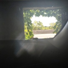 fairy dust prod heroine & vin