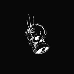 Wellerman (remix)