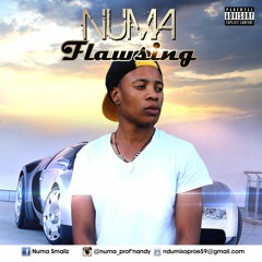 Numa Feat Flow  Flawsing (prod By Bayza Bun)