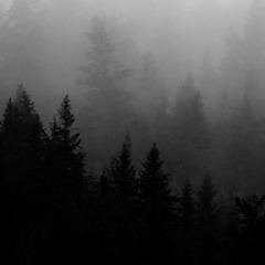 fafdsafdasfdsa ?>!@2/?#?#