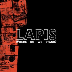 LAPIS "Where do we stand?"