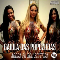 Agora Eu Sou Solteira - Gaiola Das Popozudas (Flor Music Remix)
