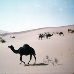 كثر المواصل