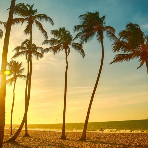 Alone, leaves background 諾FREE DOWNLOAD