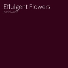 Effulgent Flowers (2024 Refined)