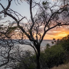 disquiet0429: Ditty in C