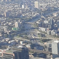 Fat Laces Old Skool Mix