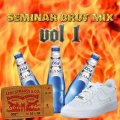 SEMINAR BRUT MIX - VOL UNO