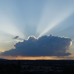 The Marshlands (Polyrhythm) V.1