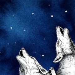 The Fungi Of Wild Wood Hall - Edit