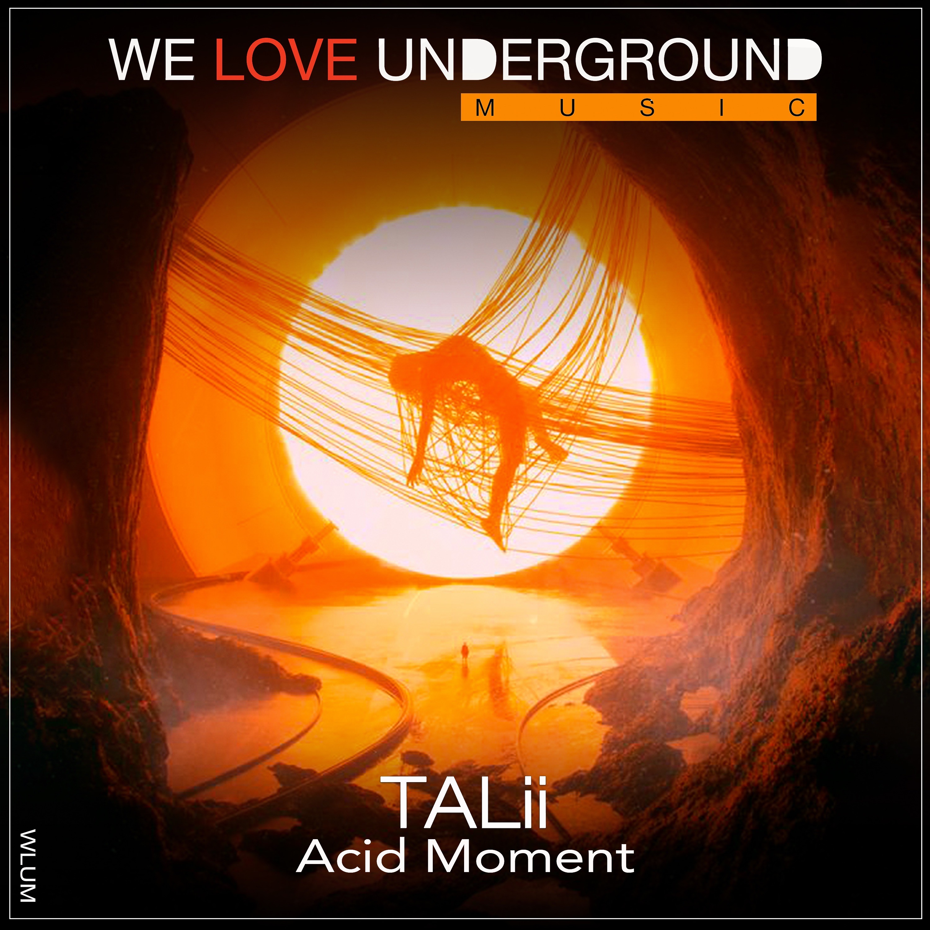Talii - Acid Moment  - PREVIEW
