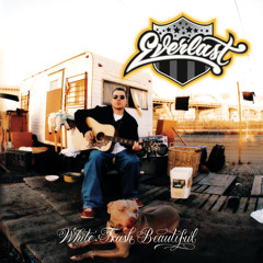 White Trash Beautiful (Album Version)