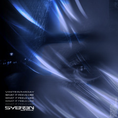 Vinter, MRJay - what it feels like (SYEREN Remix)