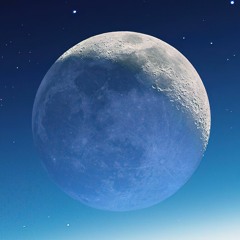 Discord Playlist (One of Everything)