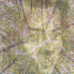 [002] siempre tengo sed