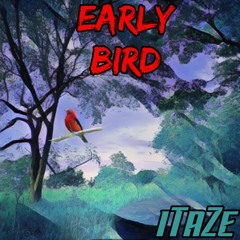 Early Bird