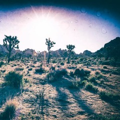 "Younger than you" Whirr (cover)