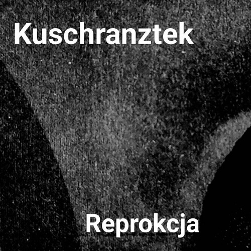 Reprokcja (Original Mix)