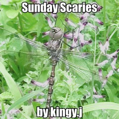 Sunday Scaries [prod. kingy.j]
