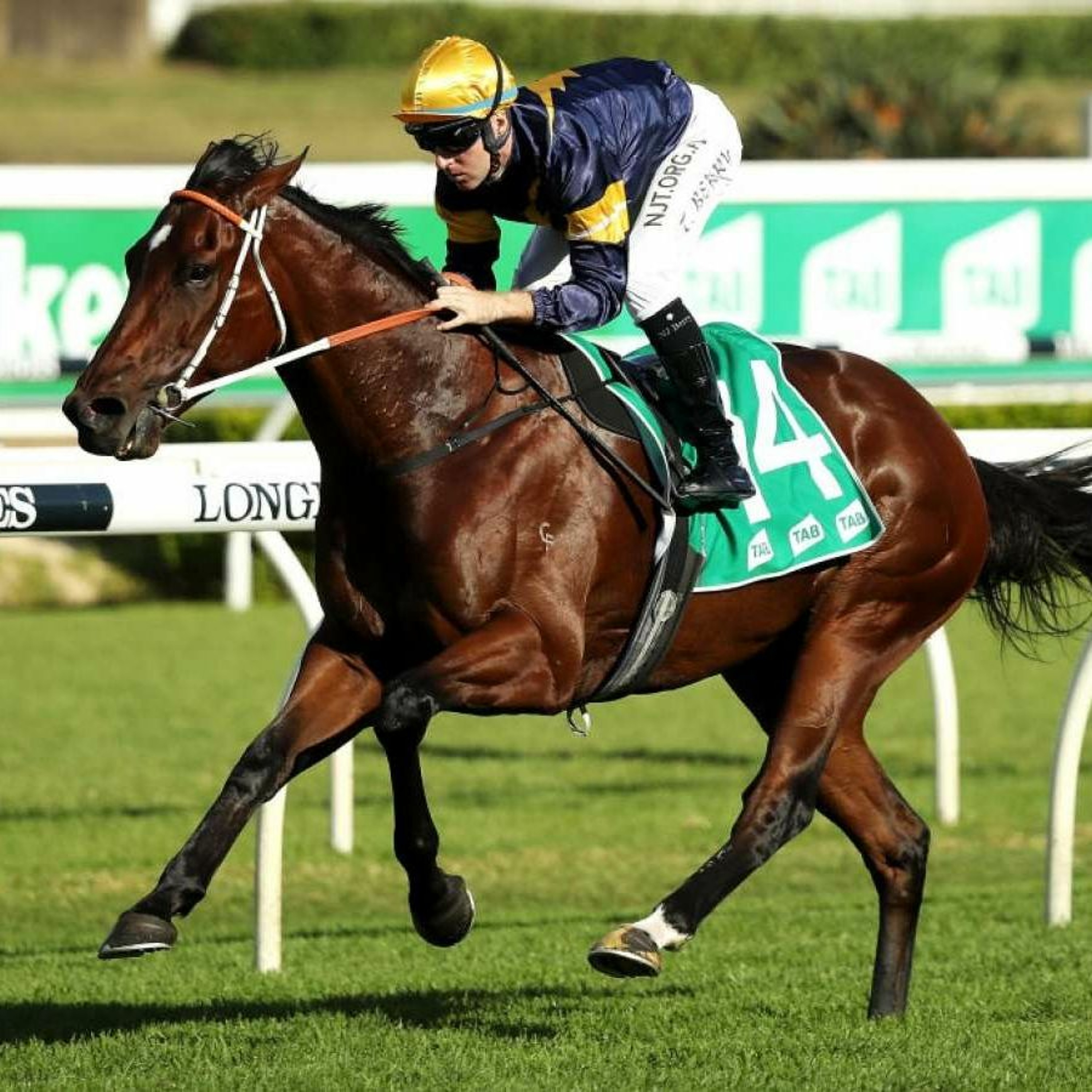 George Main Stakes Day Punting Preview