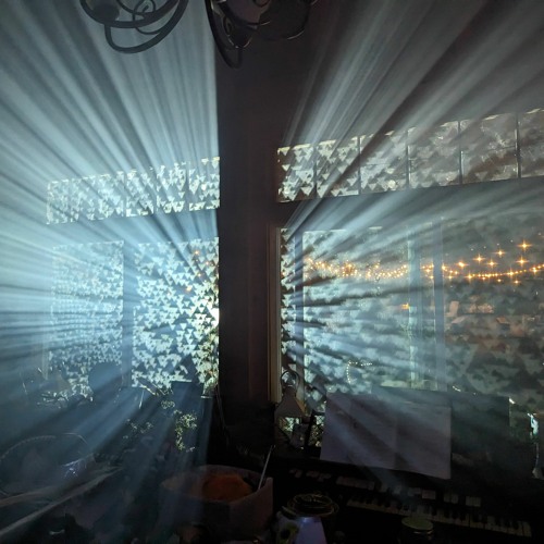 D.Vices @ Forest Friends 2023 (electro set)