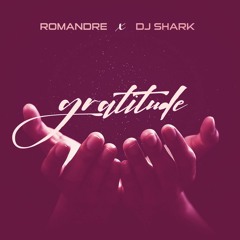 Romandre ft Dj Shark - Gratitude