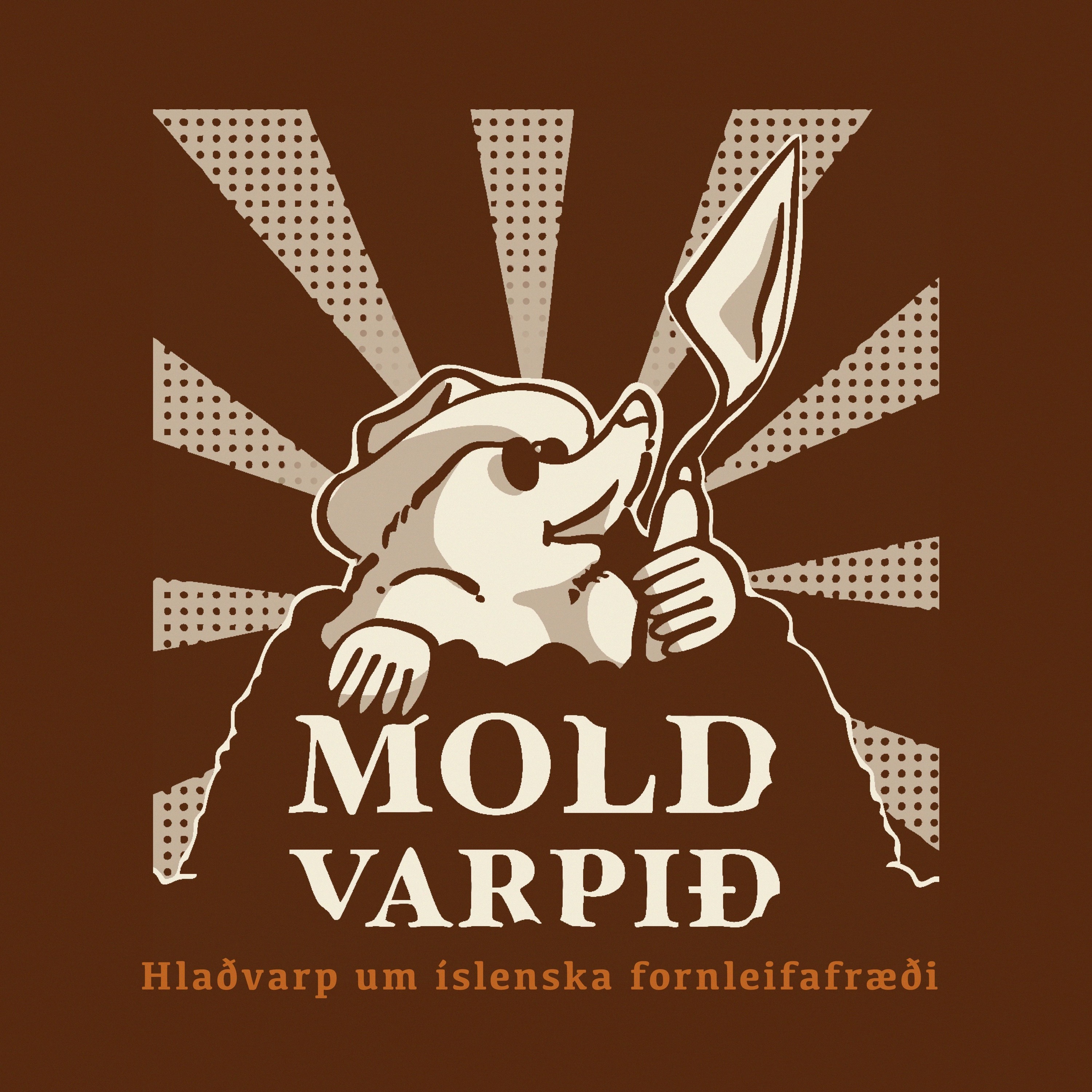 0. Kynningarþáttur episode artwork