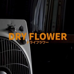 유우리 yuuri (優里) - 드라이플라워 dryflower (ドライフラワー) acoustic cover