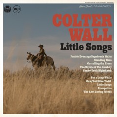COLTER WALL (Country-Americana)