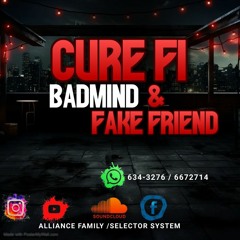 CURE FI BADMIND & FAKE FRIEND X SELECTOR SYSTEM