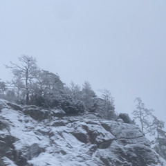 i gotta find piece of mind lauryn hill