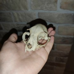 vasaski (prod. killedmyself)