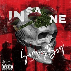 "Insane" Prod. Shinz!