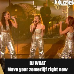 Move Your Zomerlijf Right Now (Dj What mashup)