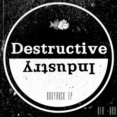 Destructive Industry - F#ck Them Who Hate Me