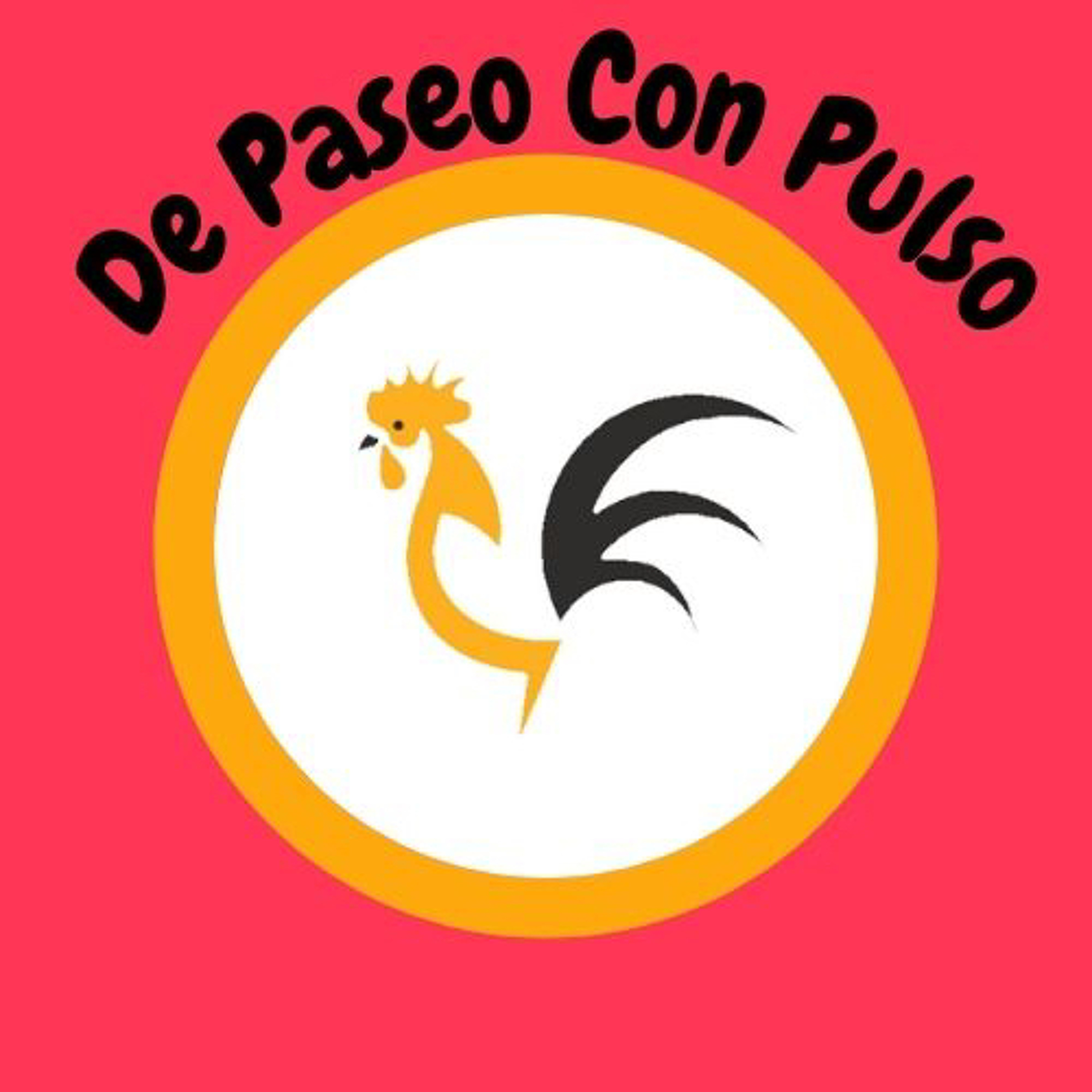 Pulso Estudiantil