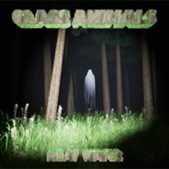 GLASS ANIMALS – HEAT WAVES (ODDHORSE NIGHT MARE RAVE CUT)