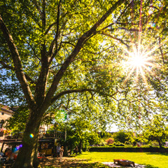 Dayrave @ Summergarte 2025