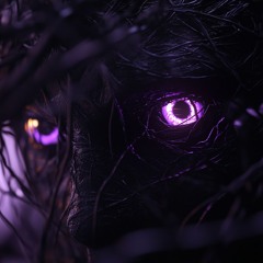 FUNK DAS SOMBRAS (Sped Up)