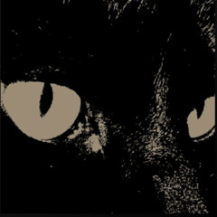 otuka - skin (unreleased + released version mashup)