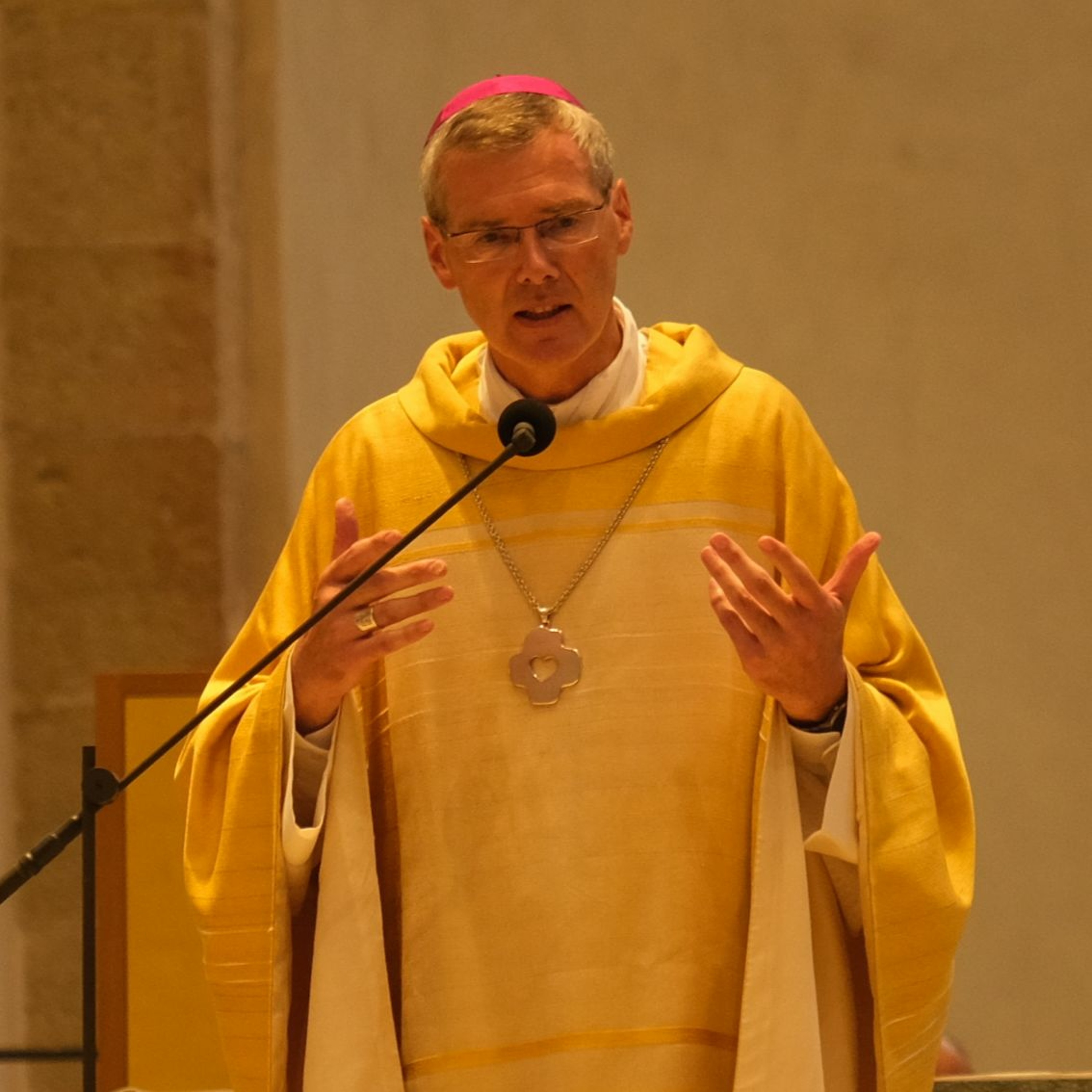Predigten im Hildesheimer Dom